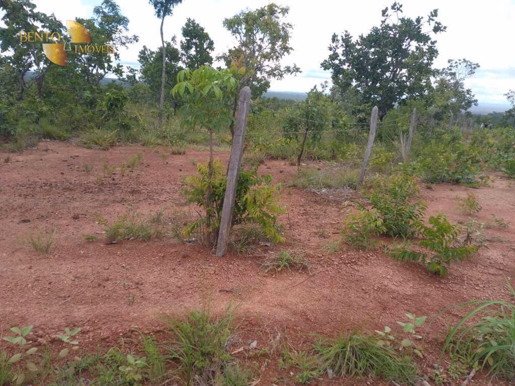 Fazenda de 1.000 ha em Nova Mutum, MT