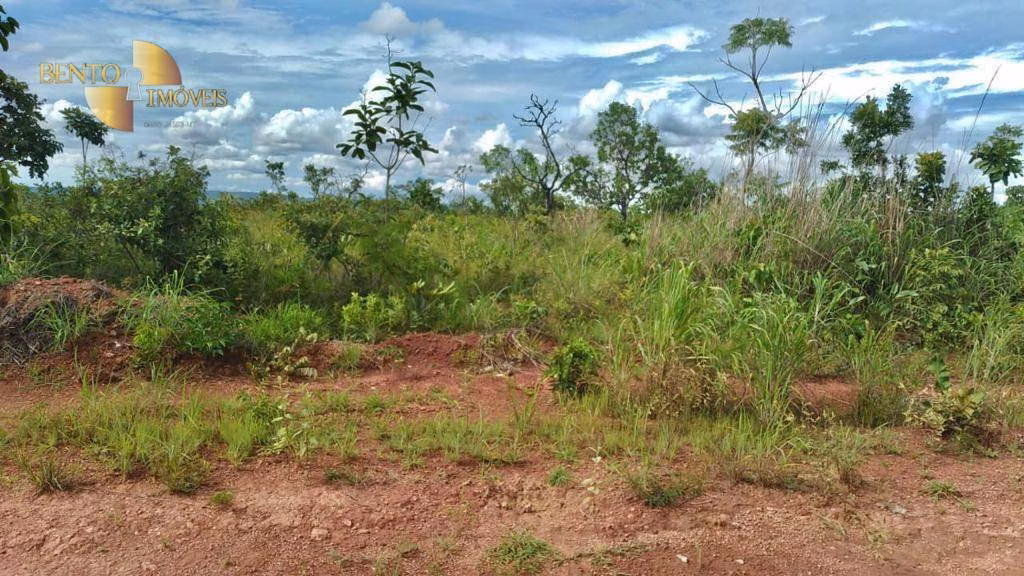 Fazenda de 1.000 ha em Nova Mutum, MT