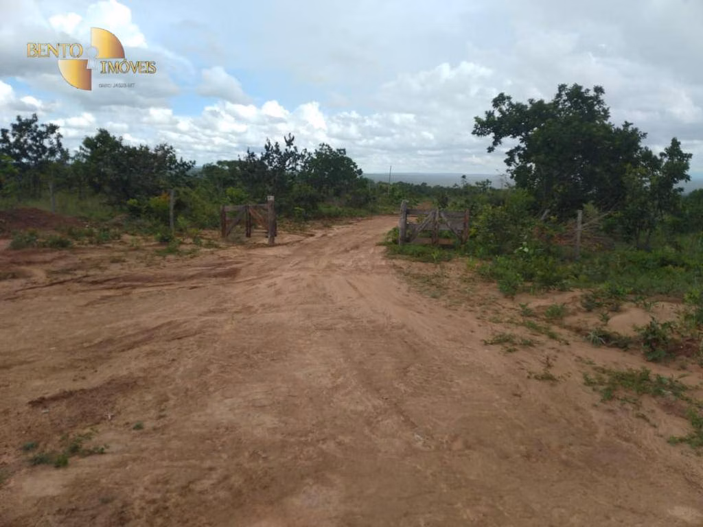Fazenda de 1.000 ha em Nova Mutum, MT