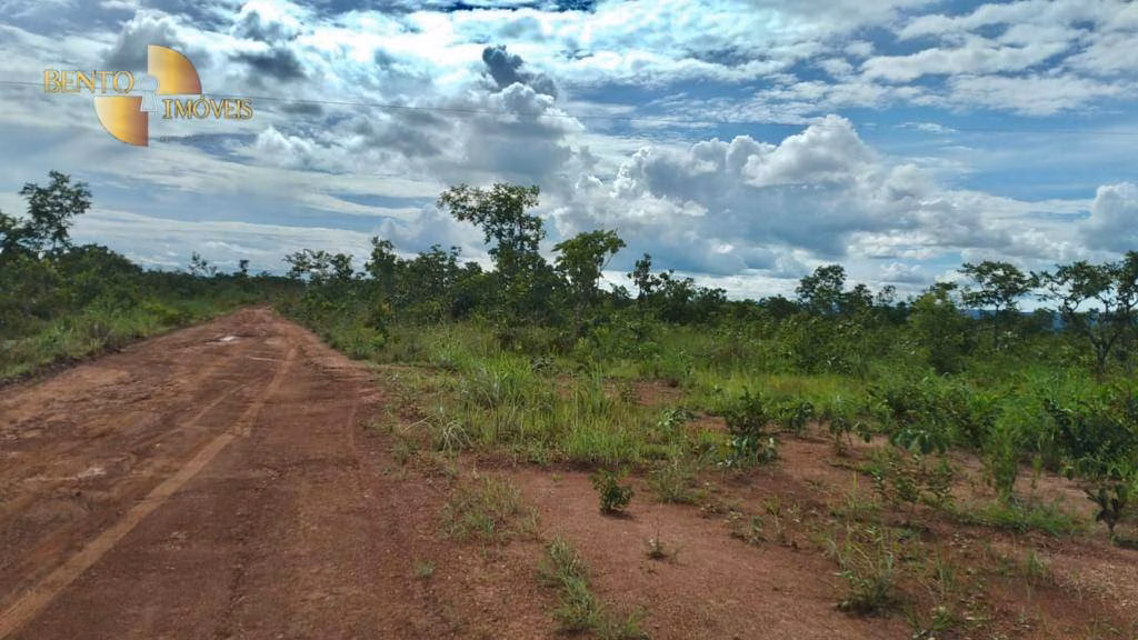 Fazenda de 1.000 ha em Nova Mutum, MT