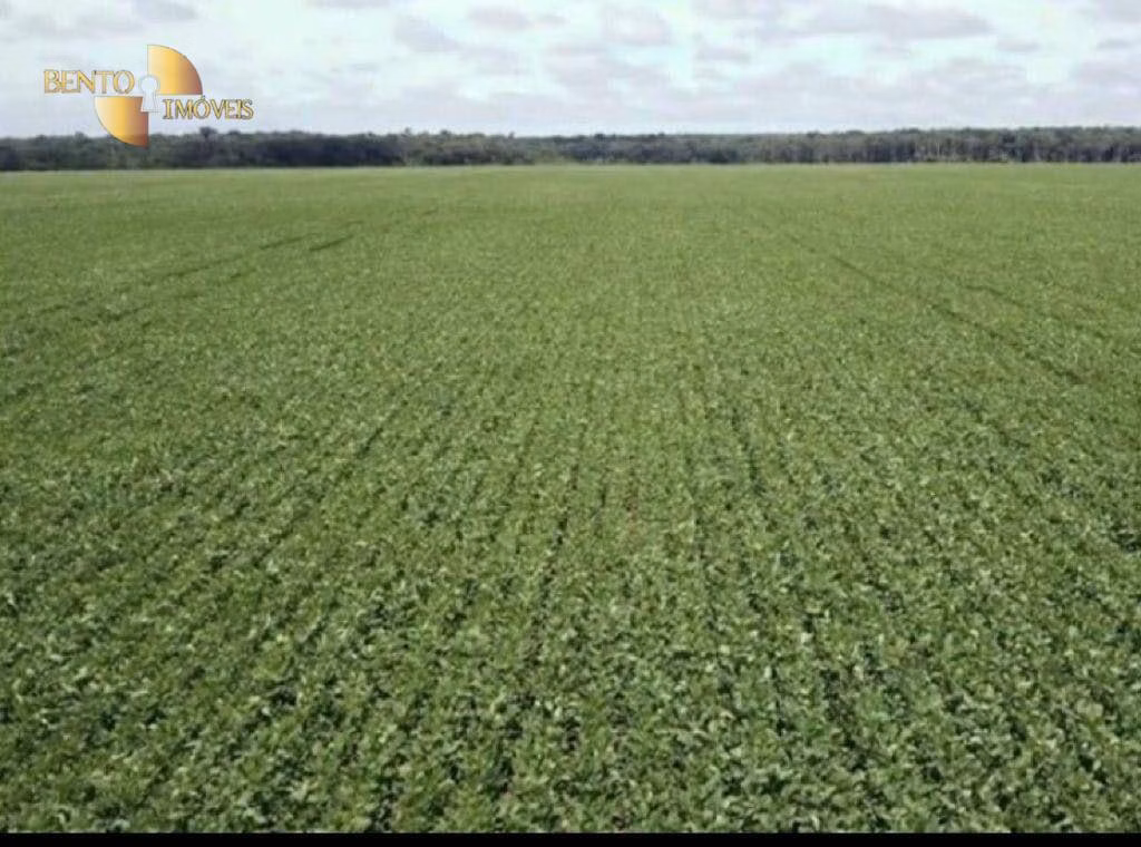 Farm of 8,278 acres in Sorriso, MT, Brazil
