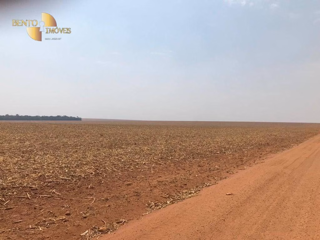 Farm of 8,278 acres in Sorriso, MT, Brazil