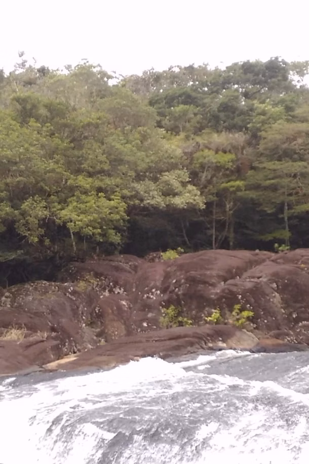 Sítio de 48 ha em Natividade da Serra, SP