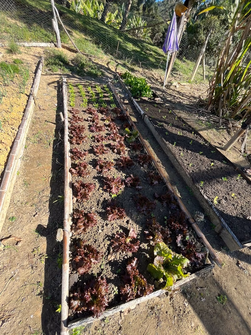 Small farm of 120 acres in Natividade da Serra, SP, Brazil