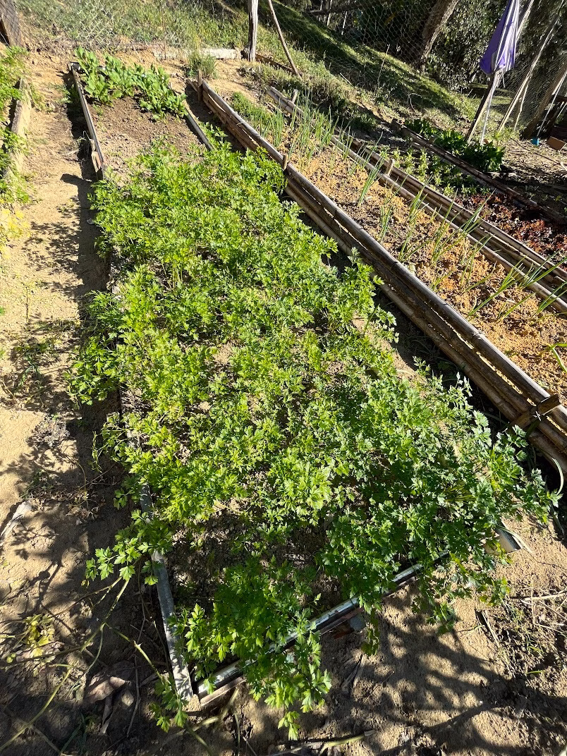 Small farm of 120 acres in Natividade da Serra, SP, Brazil
