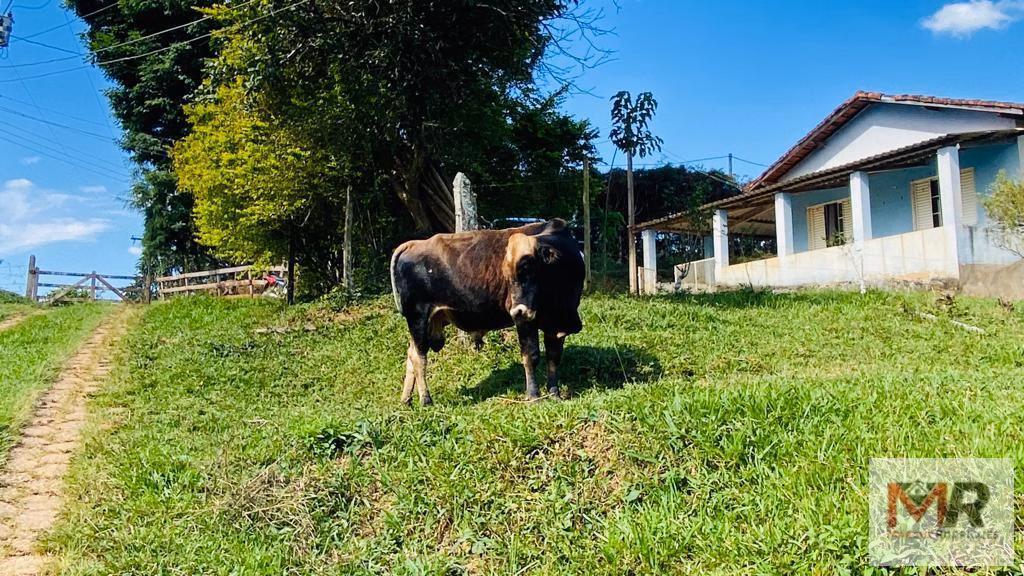 Sítio de 1 ha em Estiva, MG