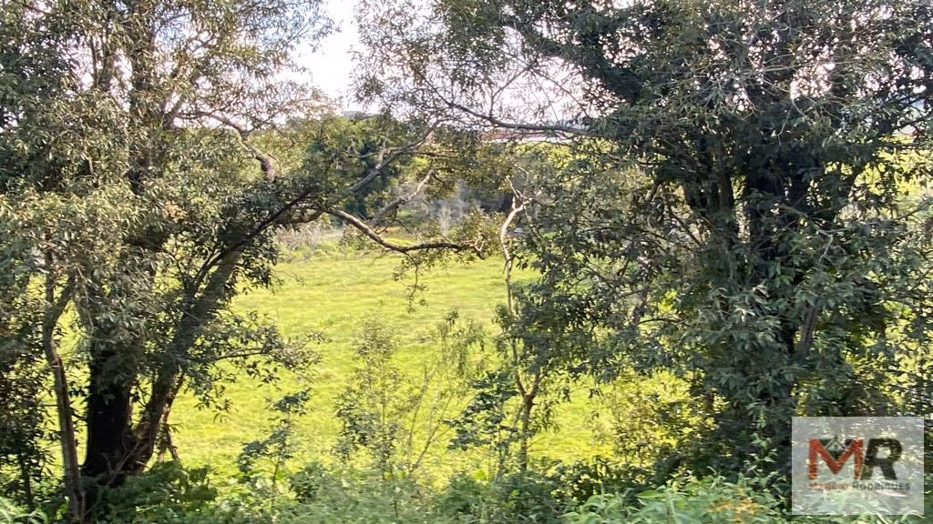 Sítio de 1 ha em Estiva, MG