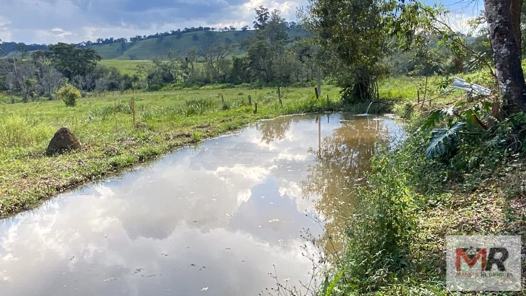 Sítio de 1 ha em Estiva, MG
