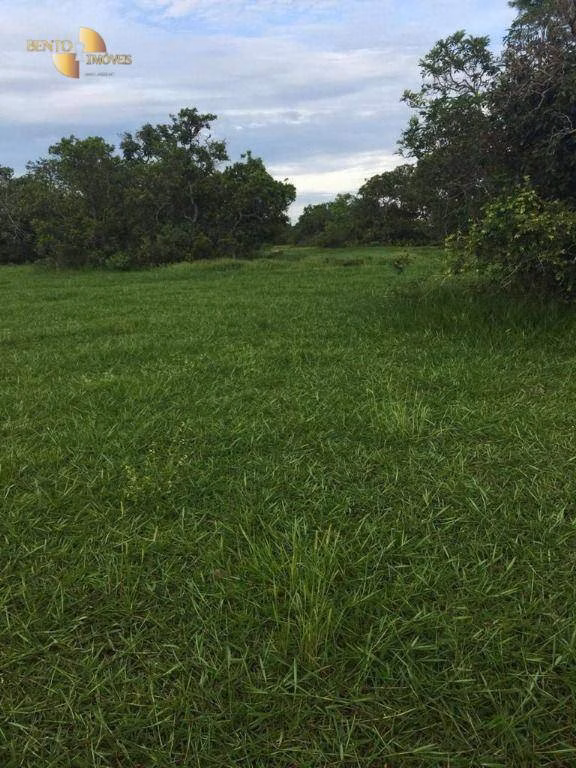 Fazenda de 9.985 ha em Cuiabá, MT