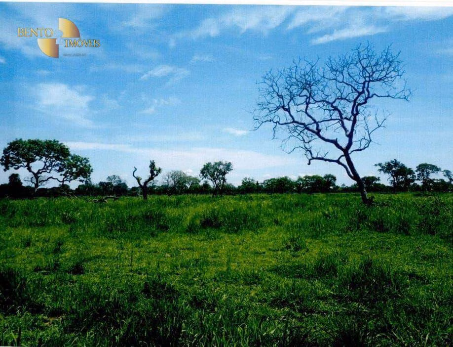 Fazenda de 9.985 ha em Cuiabá, MT