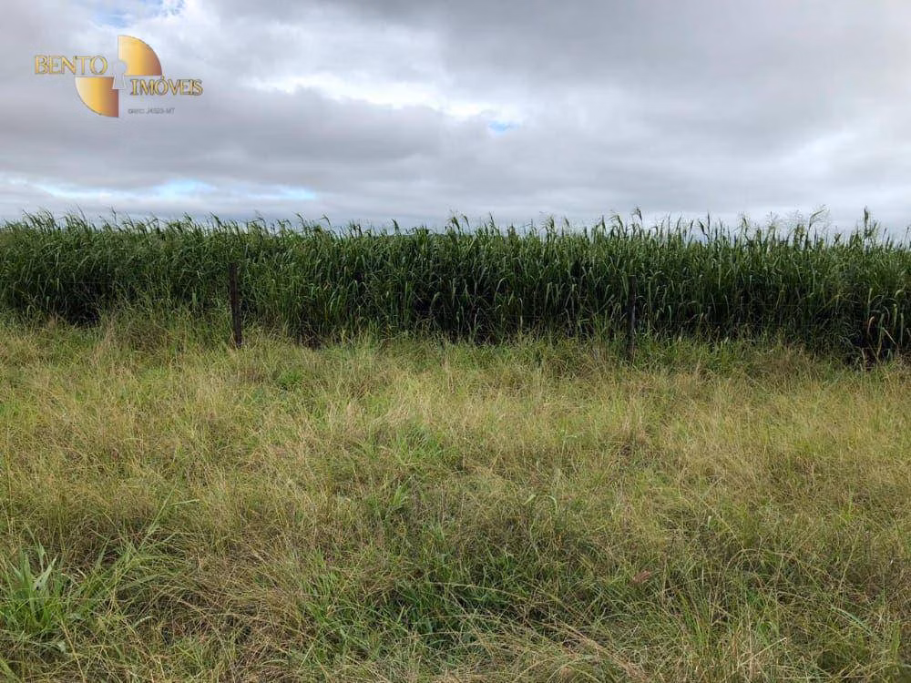 Fazenda de 9.985 ha em Cuiabá, MT