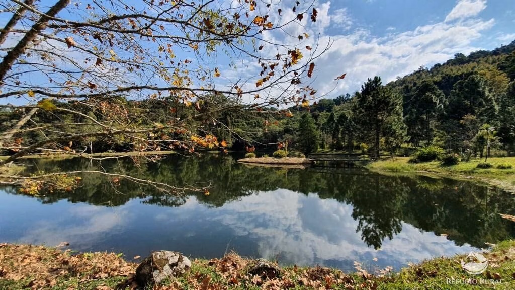 Small farm of 163 acres in São José dos Campos, SP, Brazil
