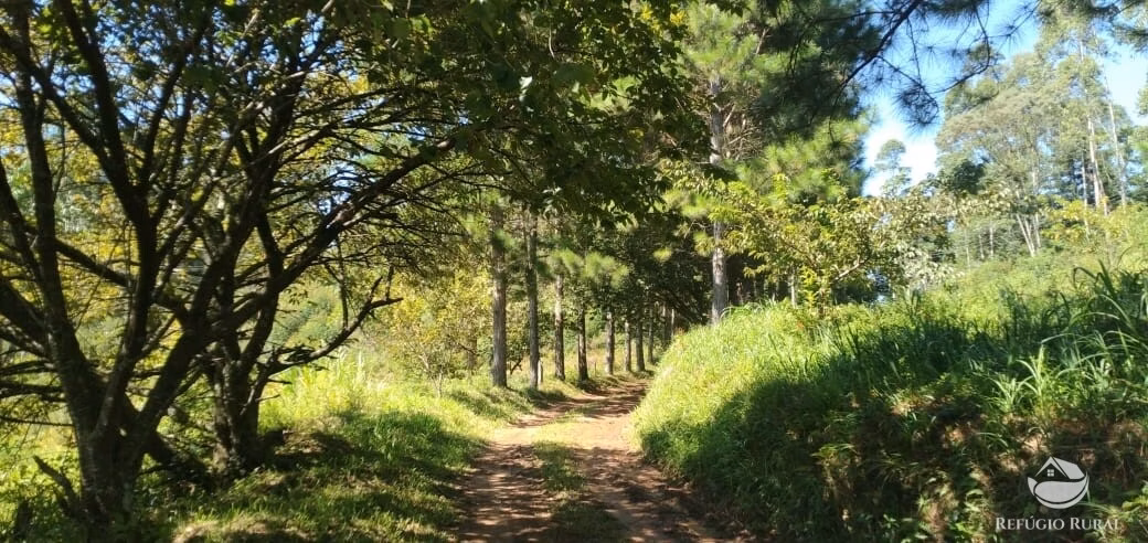 Small farm of 163 acres in São José dos Campos, SP, Brazil