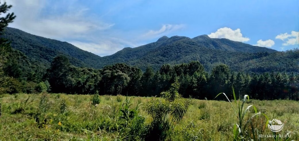 Small farm of 163 acres in São José dos Campos, SP, Brazil