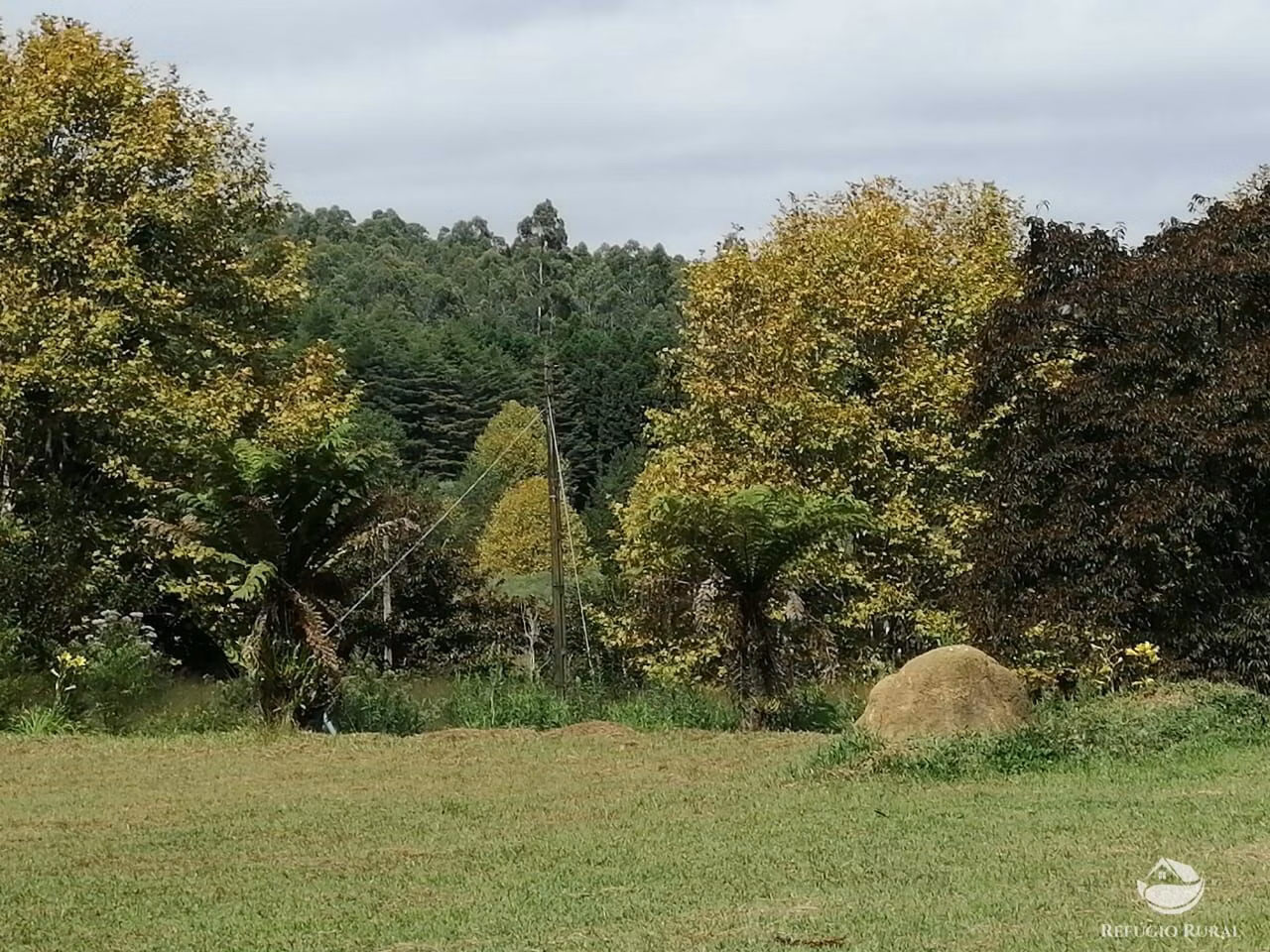 Small farm of 163 acres in São José dos Campos, SP, Brazil