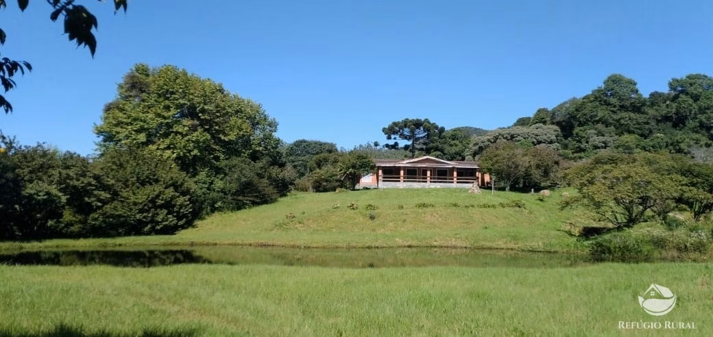 Small farm of 163 acres in São José dos Campos, SP, Brazil