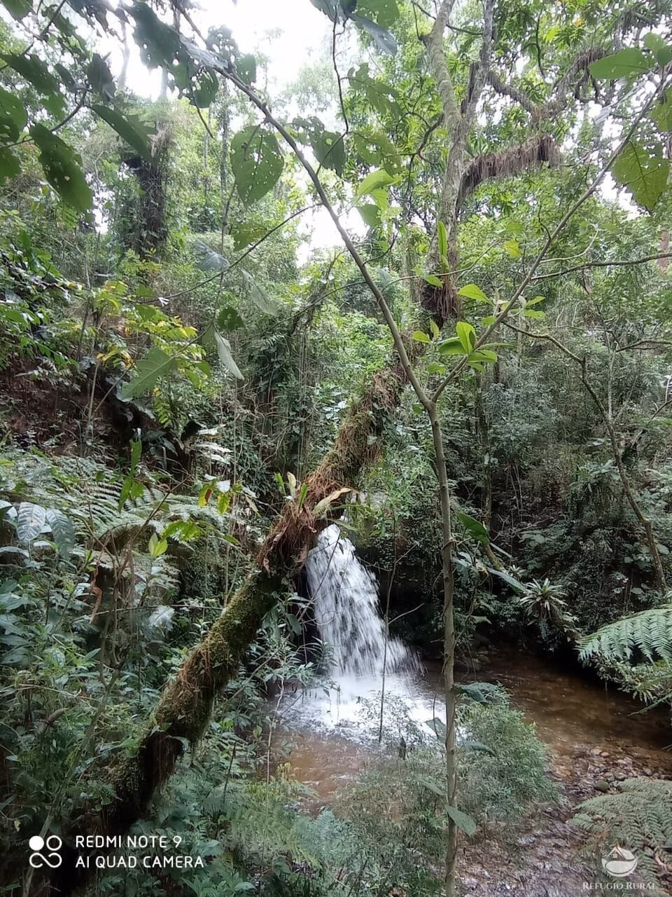 Small farm of 163 acres in São José dos Campos, SP, Brazil