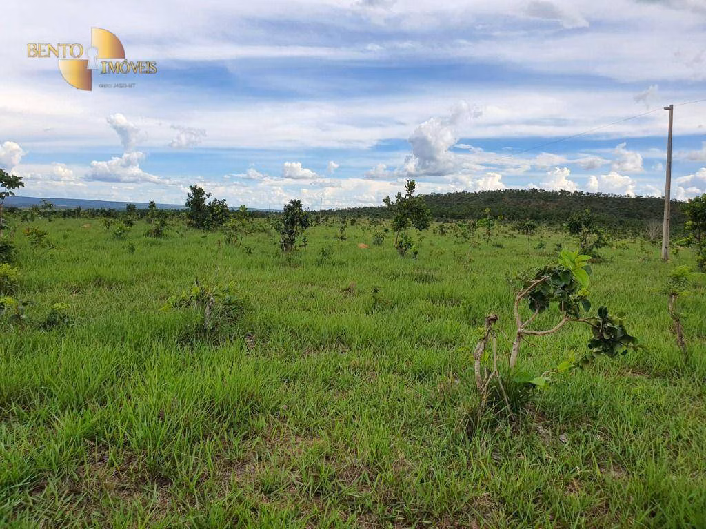 Farm of 8,031 acres in Paranatinga, MT, Brazil