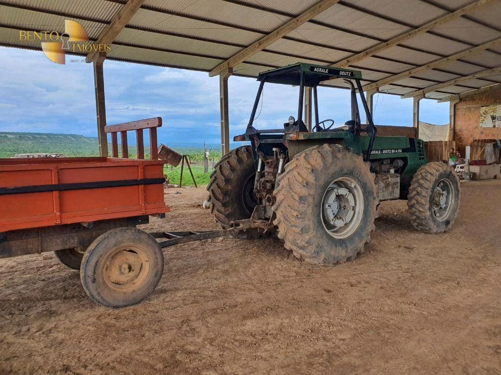 Farm of 8,031 acres in Paranatinga, MT, Brazil