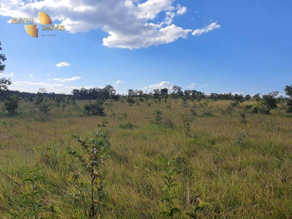 Farm of 8,031 acres in Paranatinga, MT, Brazil