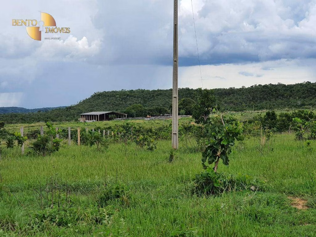 Farm of 8,031 acres in Paranatinga, MT, Brazil