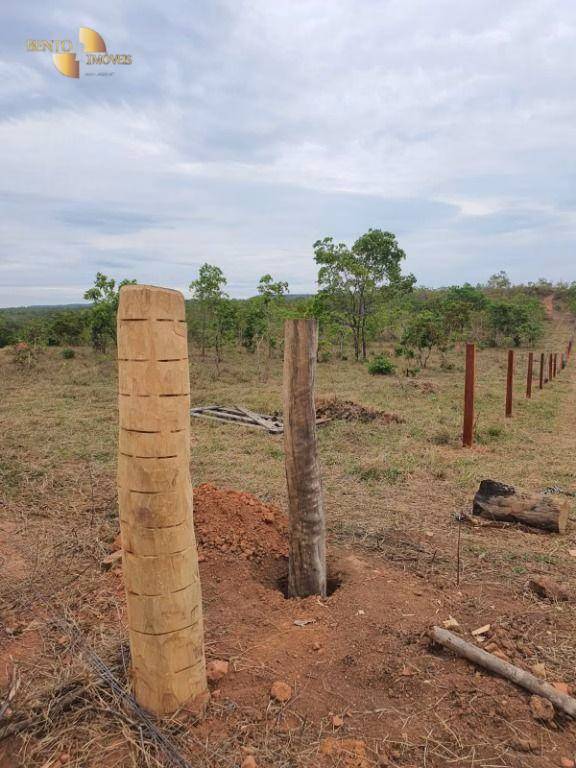 Farm of 8.031 acres in Paranatinga, MT, Brazil