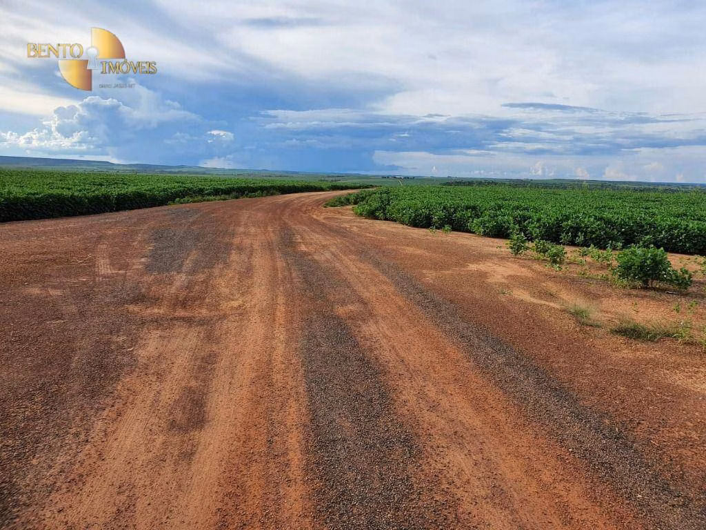 Farm of 8,031 acres in Paranatinga, MT, Brazil