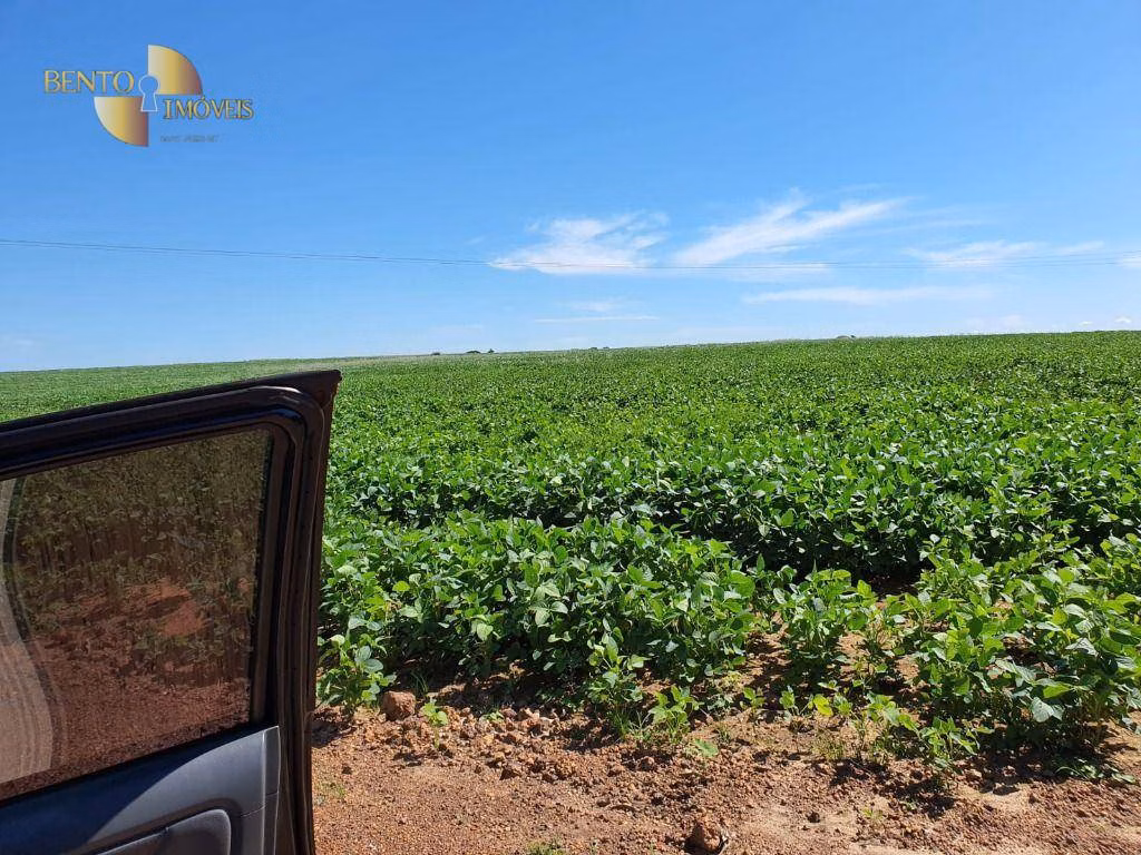 Farm of 8,031 acres in Paranatinga, MT, Brazil