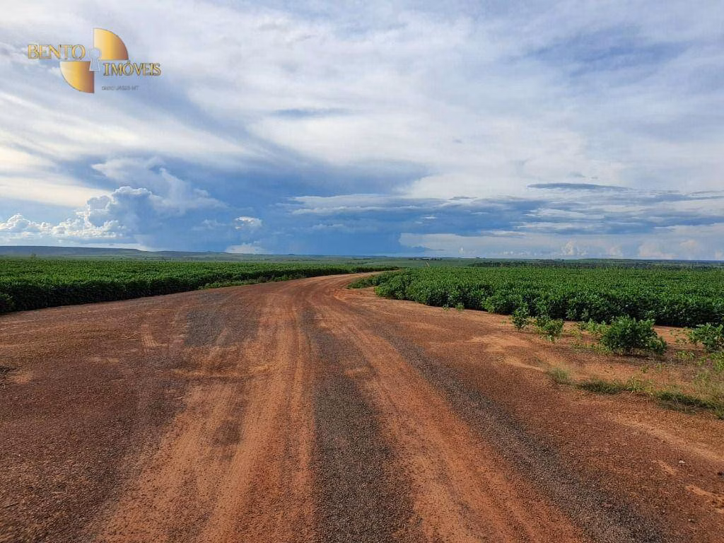 Farm of 8,031 acres in Paranatinga, MT, Brazil
