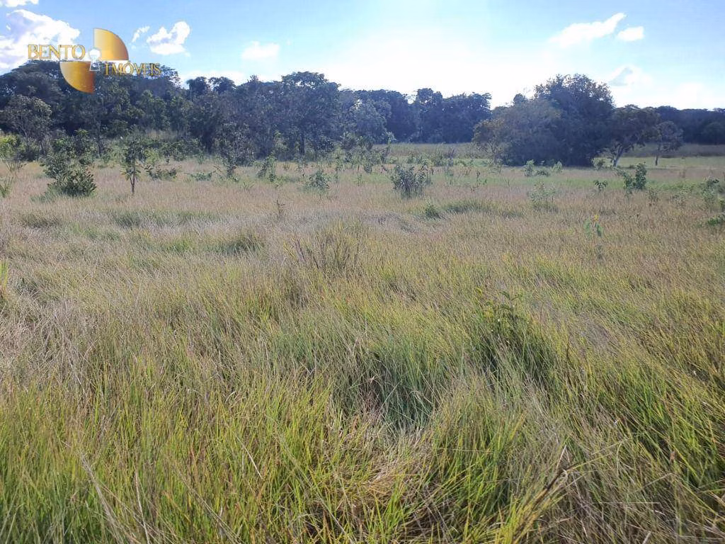 Farm of 8,031 acres in Paranatinga, MT, Brazil