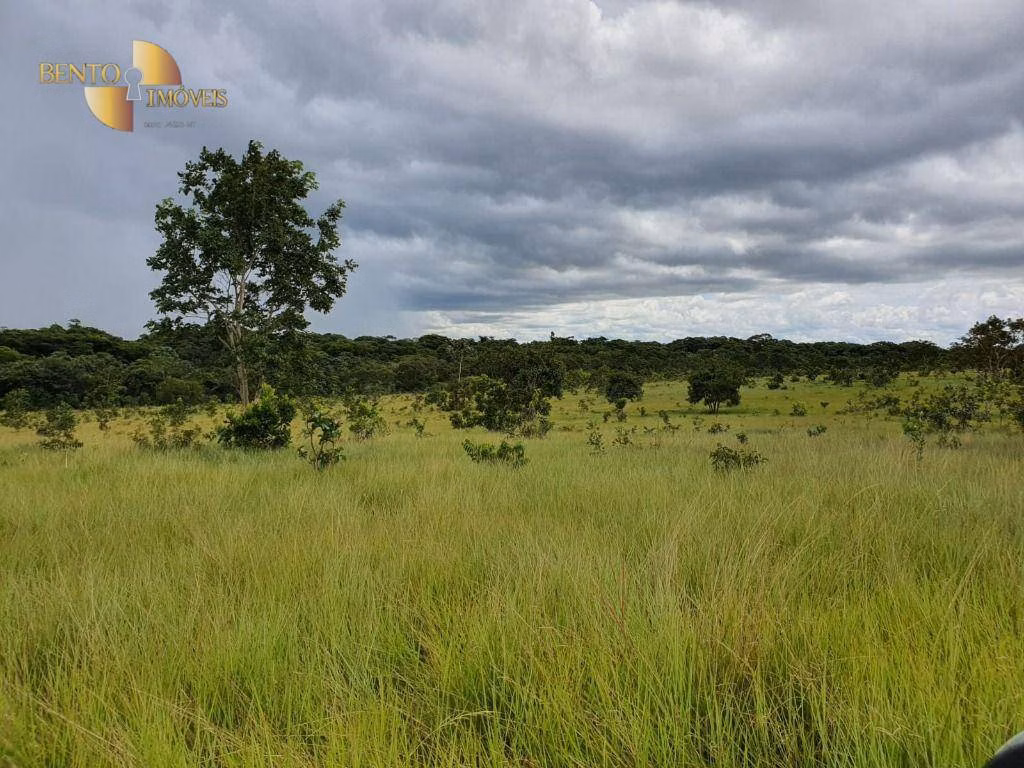Farm of 8,031 acres in Paranatinga, MT, Brazil