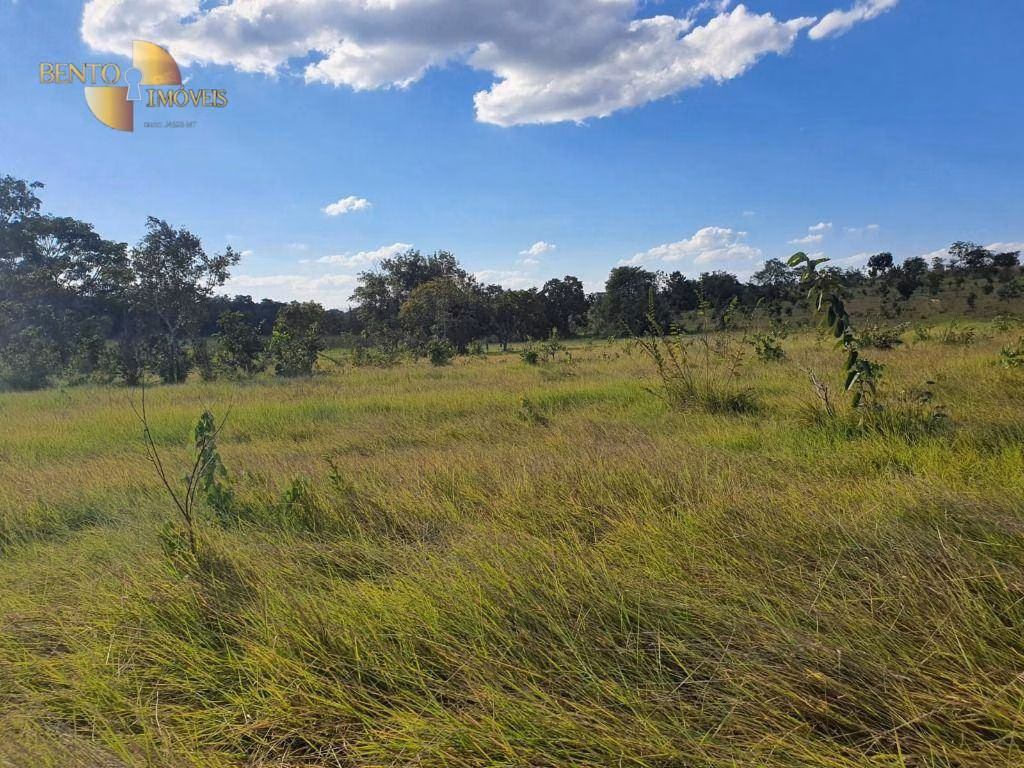Farm of 8,031 acres in Paranatinga, MT, Brazil
