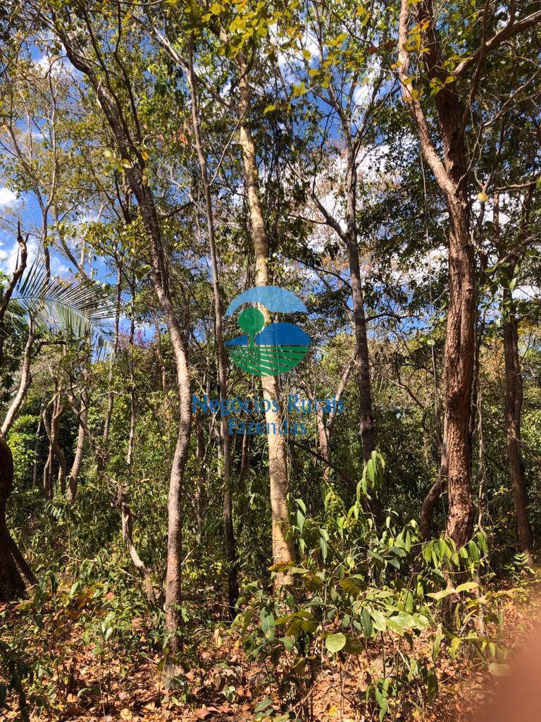 Fazenda de 4.646 ha em Colinas do Sul, GO