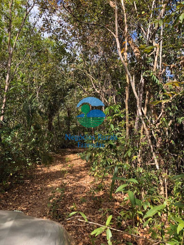 Fazenda de 4.646 ha em Colinas do Sul, GO