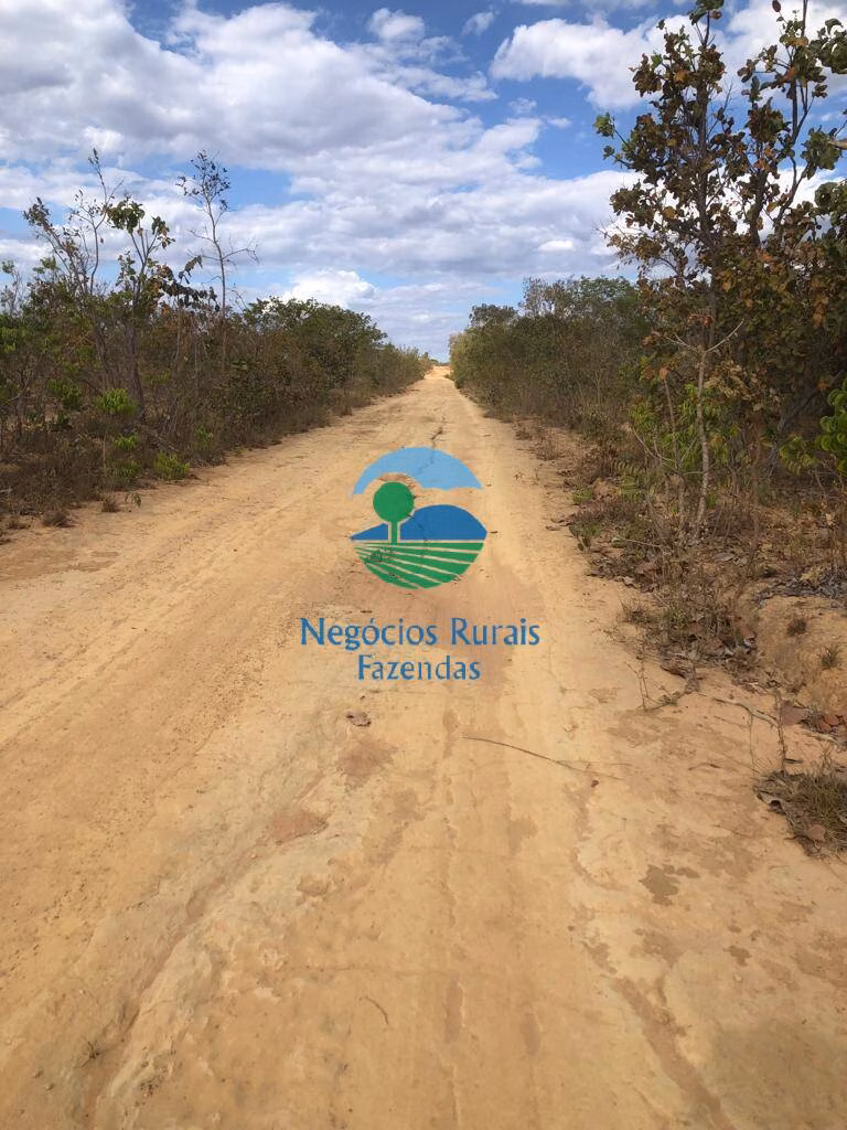 Fazenda de 4.646 ha em Colinas do Sul, GO