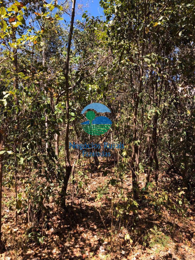 Fazenda de 4.646 ha em Colinas do Sul, GO