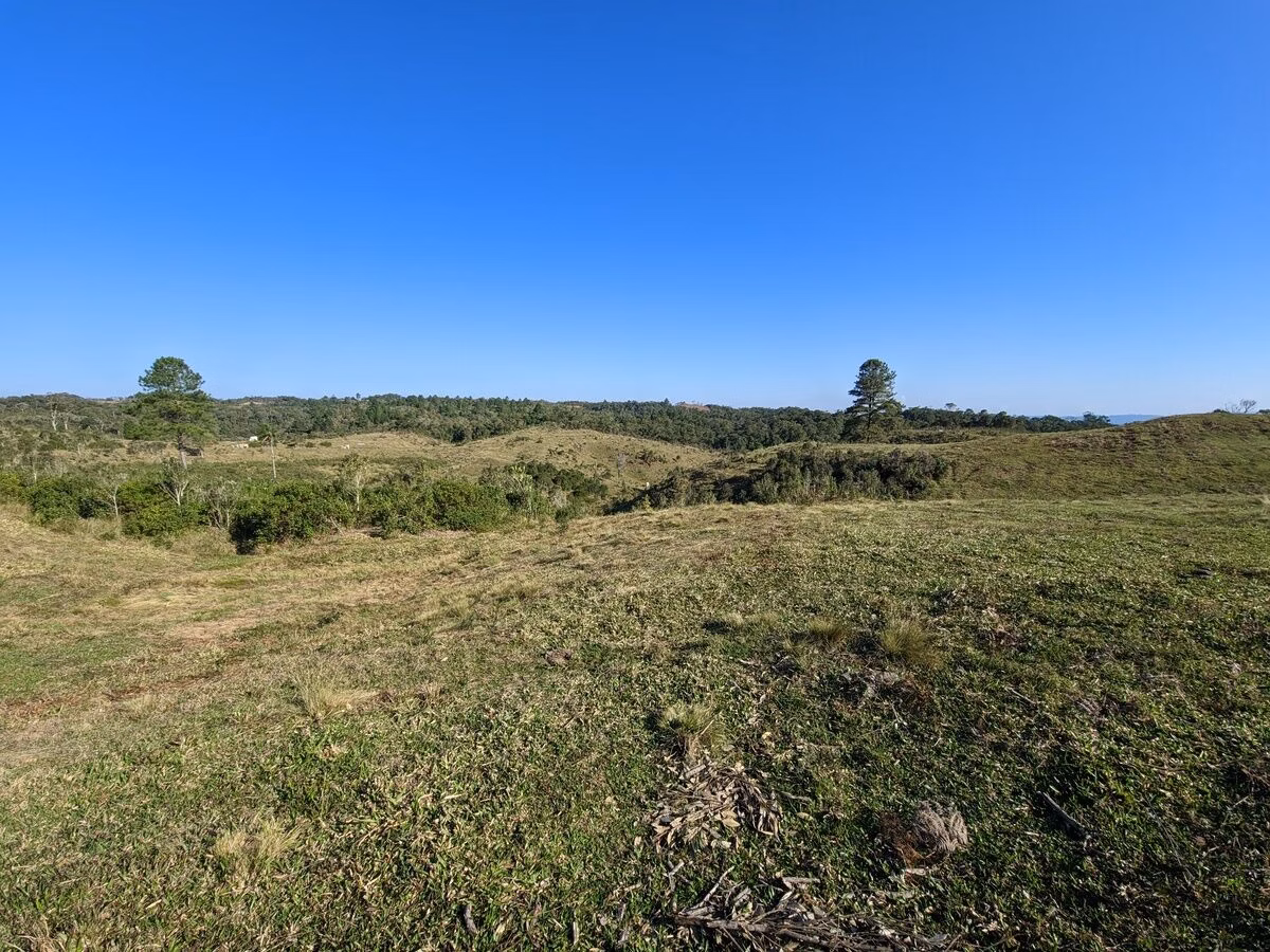 Farm of 642 acres in Presidente Nereu, SC, Brazil