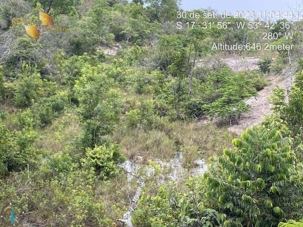 Fazenda de 5.790 ha em Alto Araguaia, MT