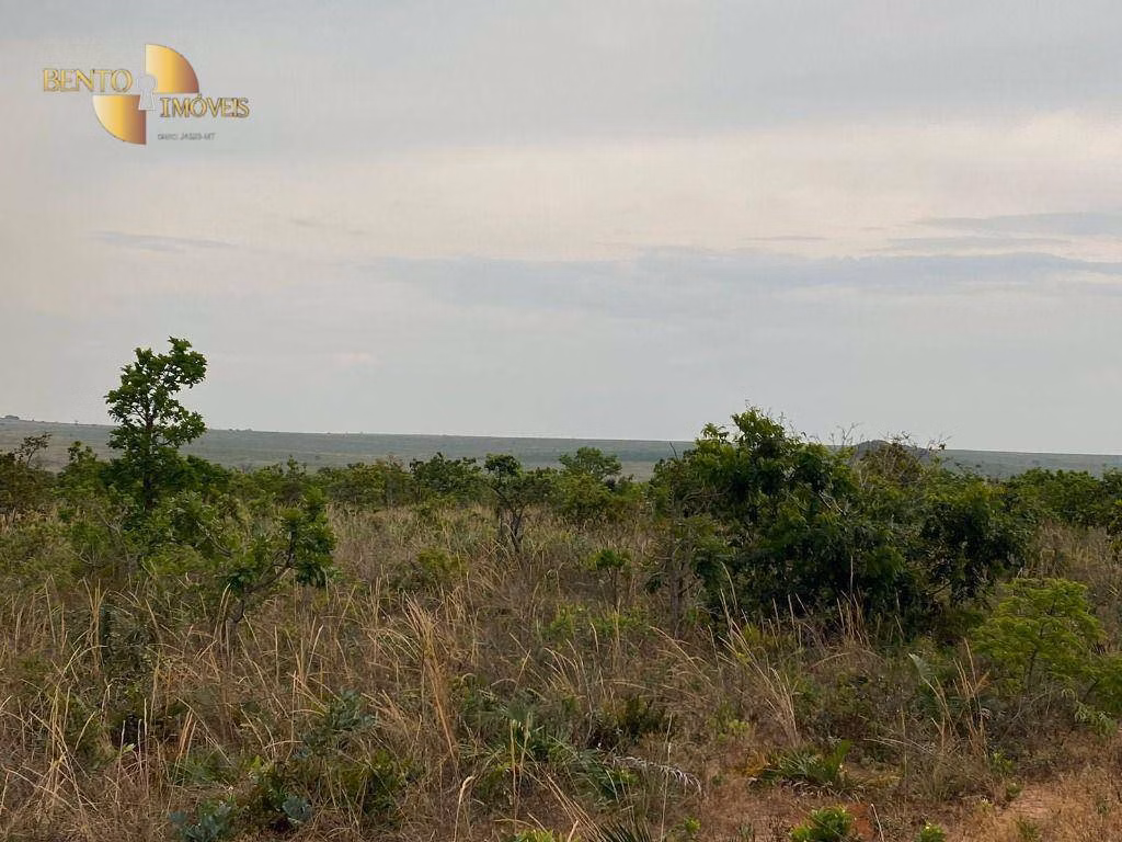 Fazenda de 5.790 ha em Alto Araguaia, MT