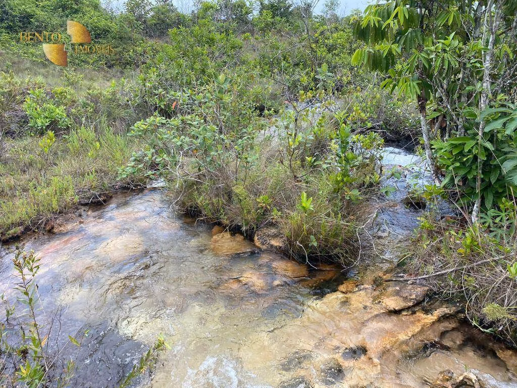Fazenda de 5.790 ha em Alto Araguaia, MT