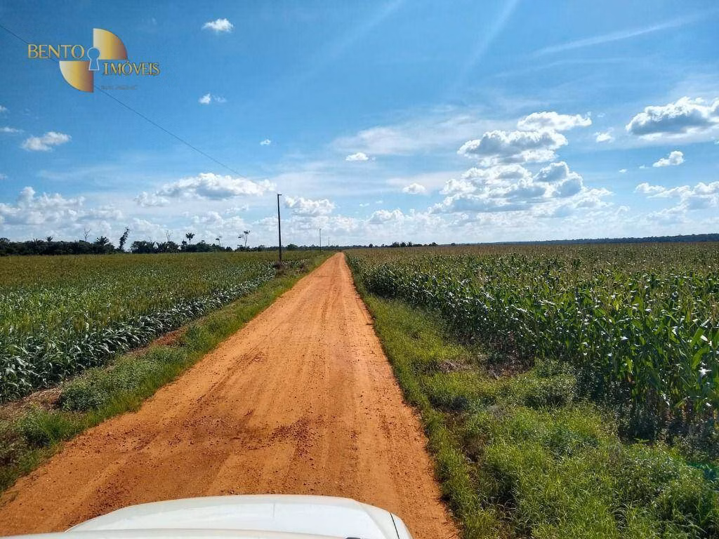 Fazenda de 2.500 ha em Tapurah, MT