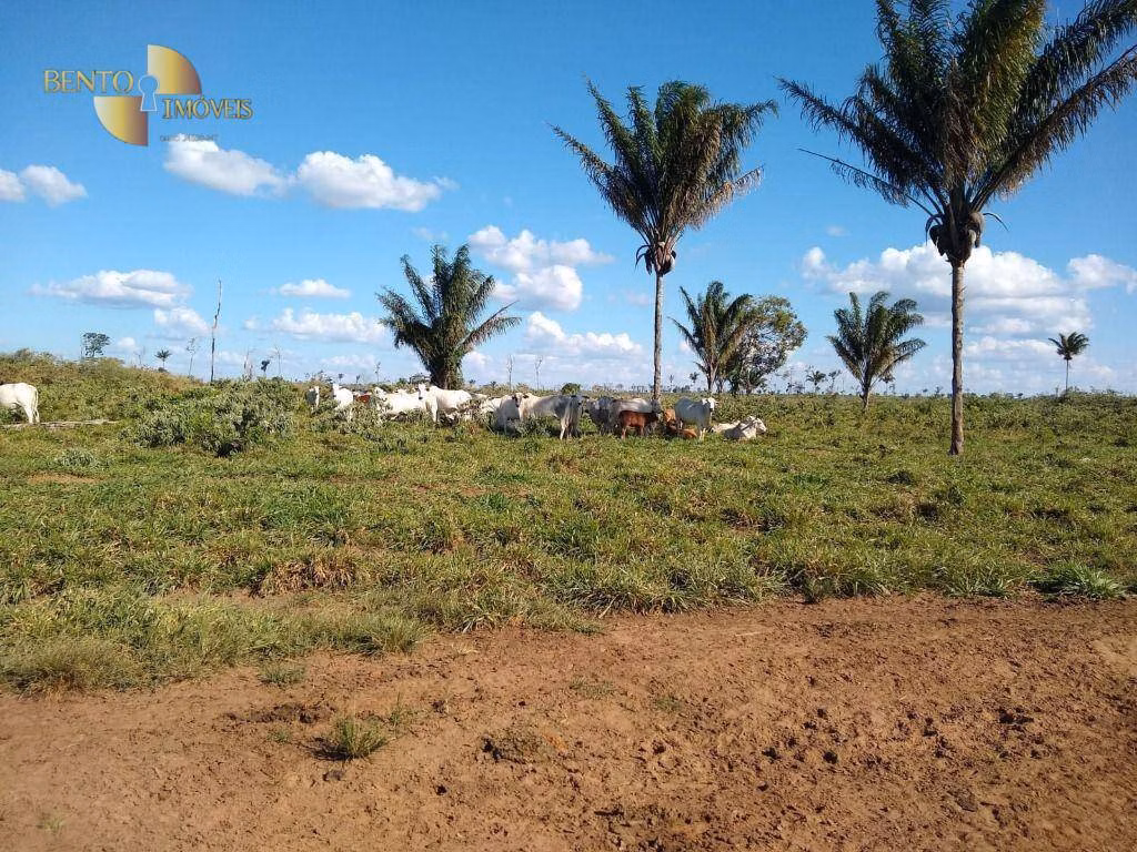 Fazenda de 2.500 ha em Tapurah, MT