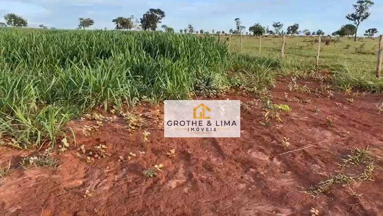 Fazenda de 629 ha em Padre Bernardo, GO