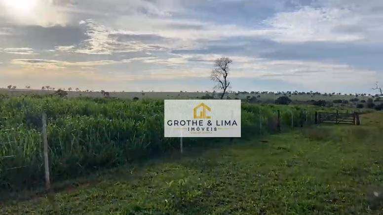 Fazenda de 629 ha em Padre Bernardo, GO