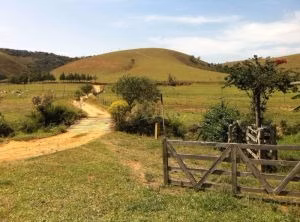 Farm of 622 acres in Silveiras, SP, Brazil