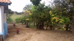 Fazenda de 252 ha em Silveiras, SP