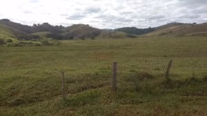 Fazenda de 252 ha em Silveiras, SP