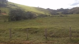 Fazenda de 252 ha em Silveiras, SP