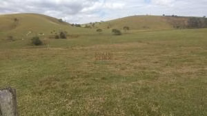 Fazenda de 252 ha em Silveiras, SP