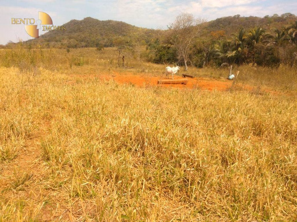 Fazenda de 633 ha em Cuiabá, MT